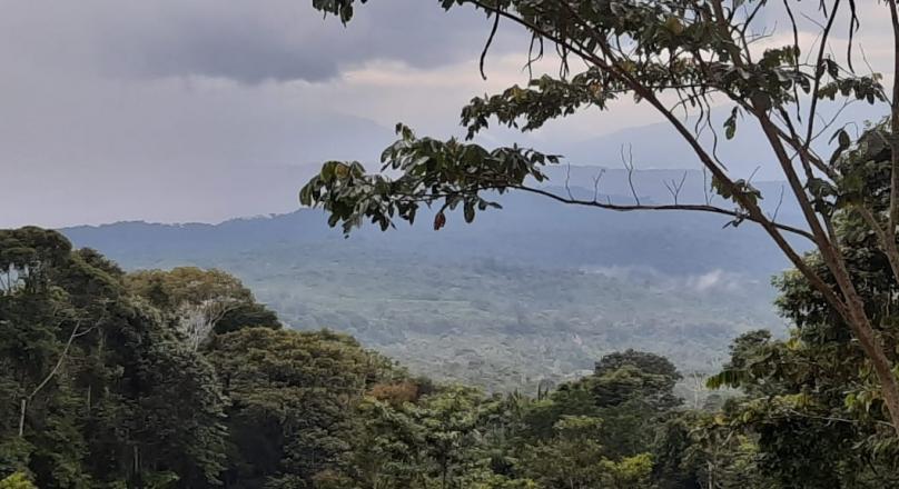 Preciosa Finca (VENDIDO)