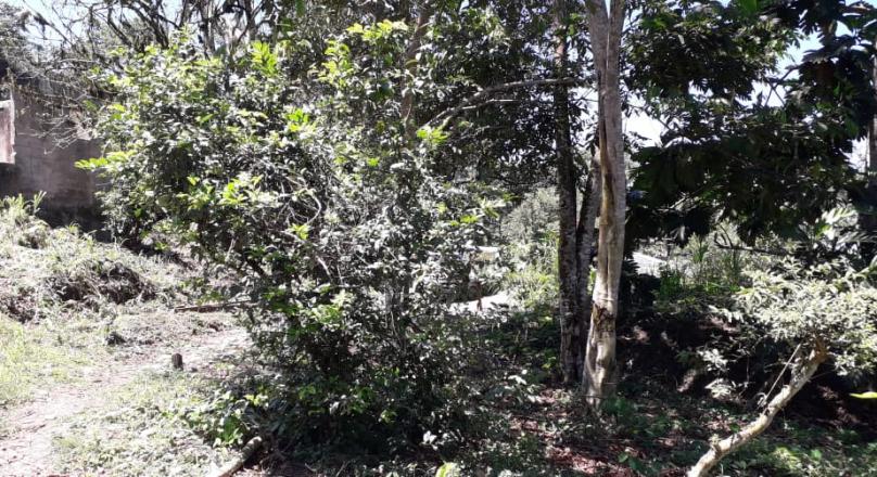 Sector las Antenas (VENDIDO)