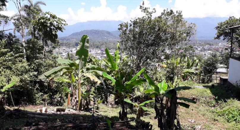 Sector las Antenas (VENDIDO)