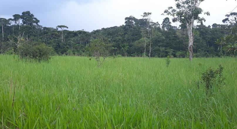 Preciosa Finca (VENDIDO)