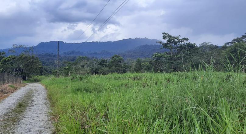 Preciosa Finca (VENDIDO)