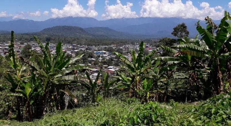 Sector las Antenas (VENDIDO)