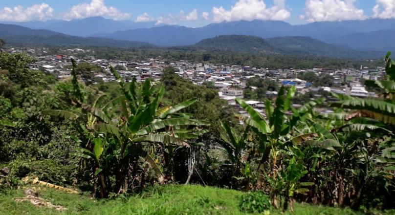 Sector las Antenas (VENDIDO)