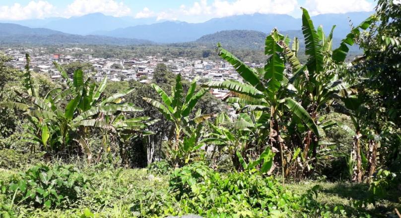 Sector las Antenas (VENDIDO)