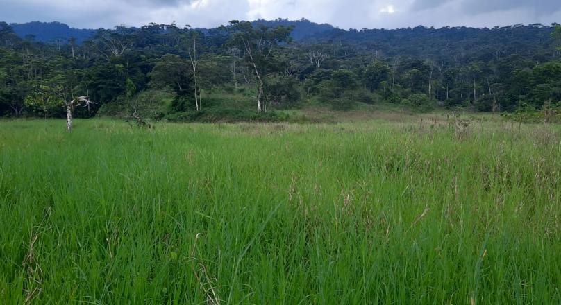 Preciosa Finca (VENDIDO)