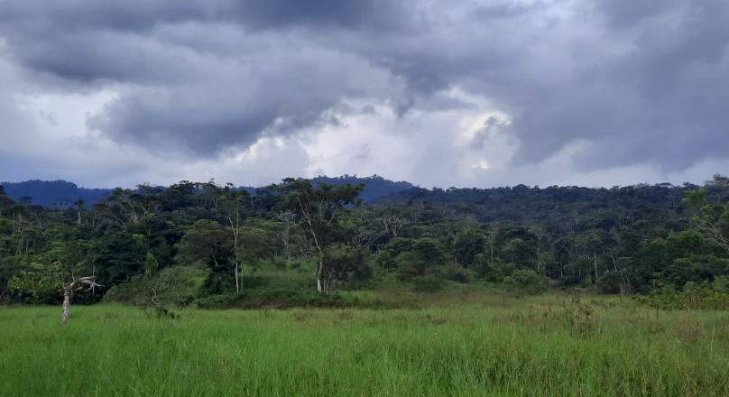 Preciosa Finca (VENDIDO)